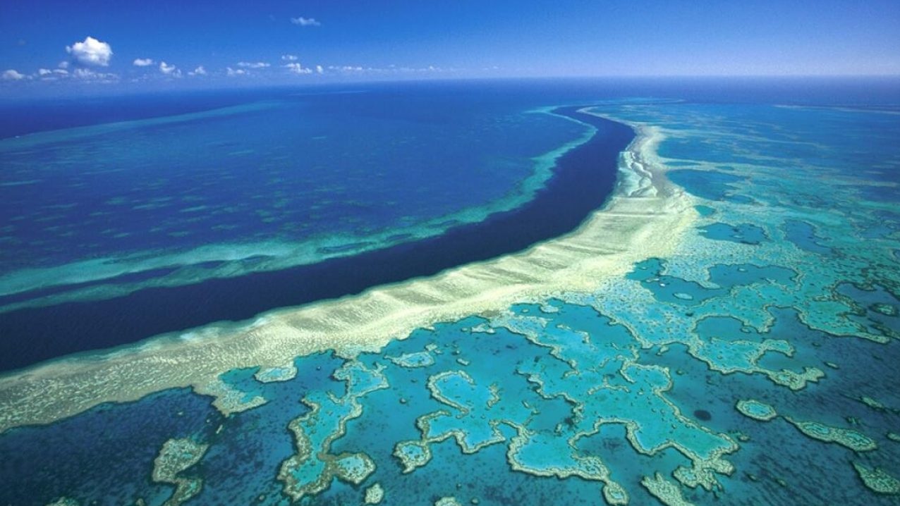 Okyanus Altında Dünya